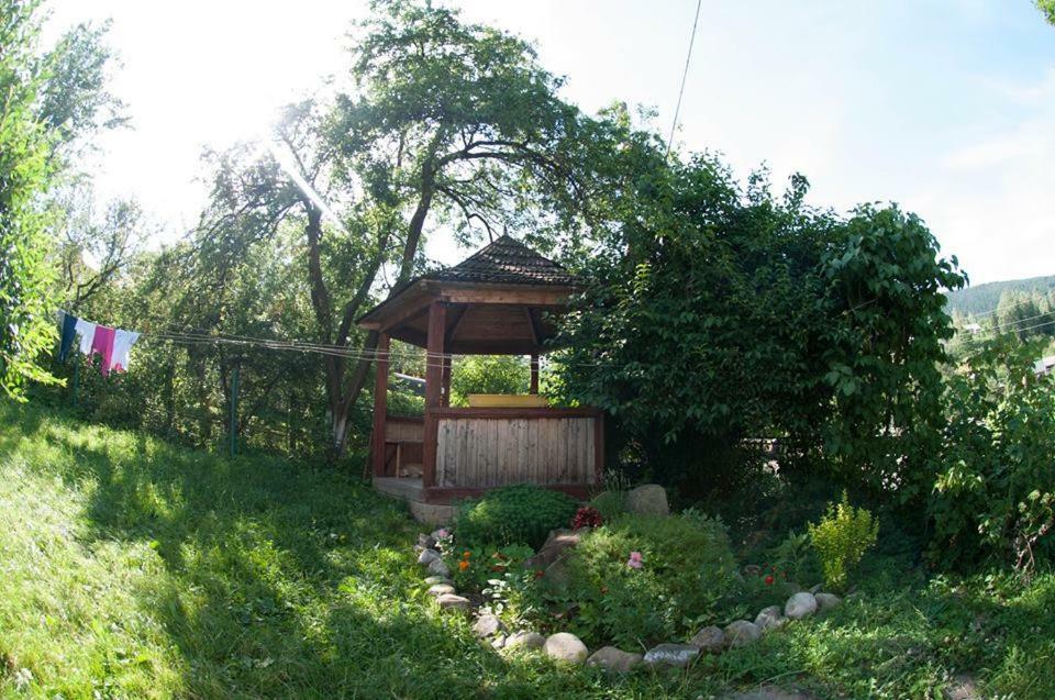 Apartamento Zabava Yaremche Exterior foto